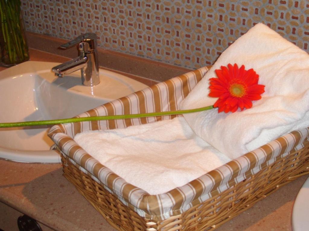 San Anton Apartment *